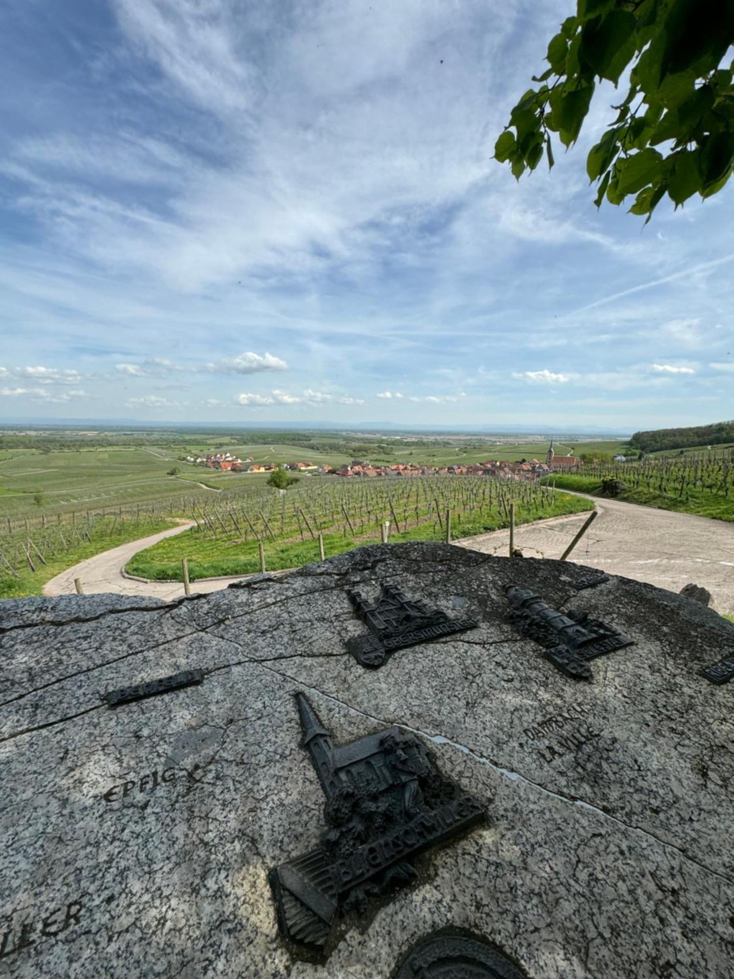 La Terasse Des Vignes - Maison 2 Chambres - 4 Personnes Blienschwiller Dış mekan fotoğraf