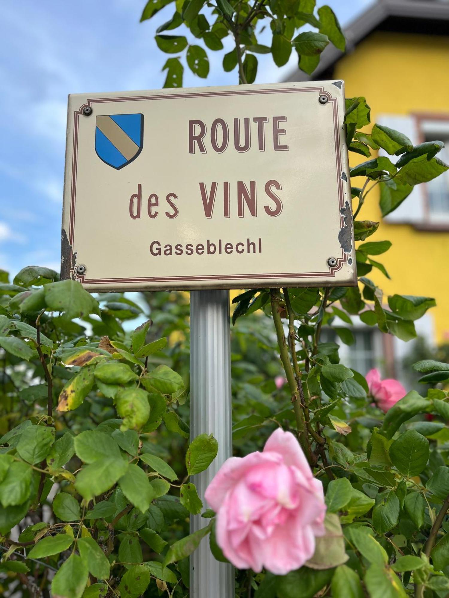 La Terasse Des Vignes - Maison 2 Chambres - 4 Personnes Blienschwiller Dış mekan fotoğraf